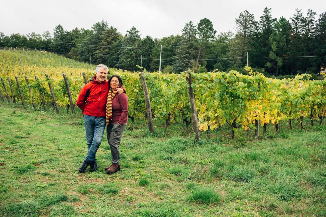 Podere Orto Wine Country House Trevinano Ngoại thất bức ảnh