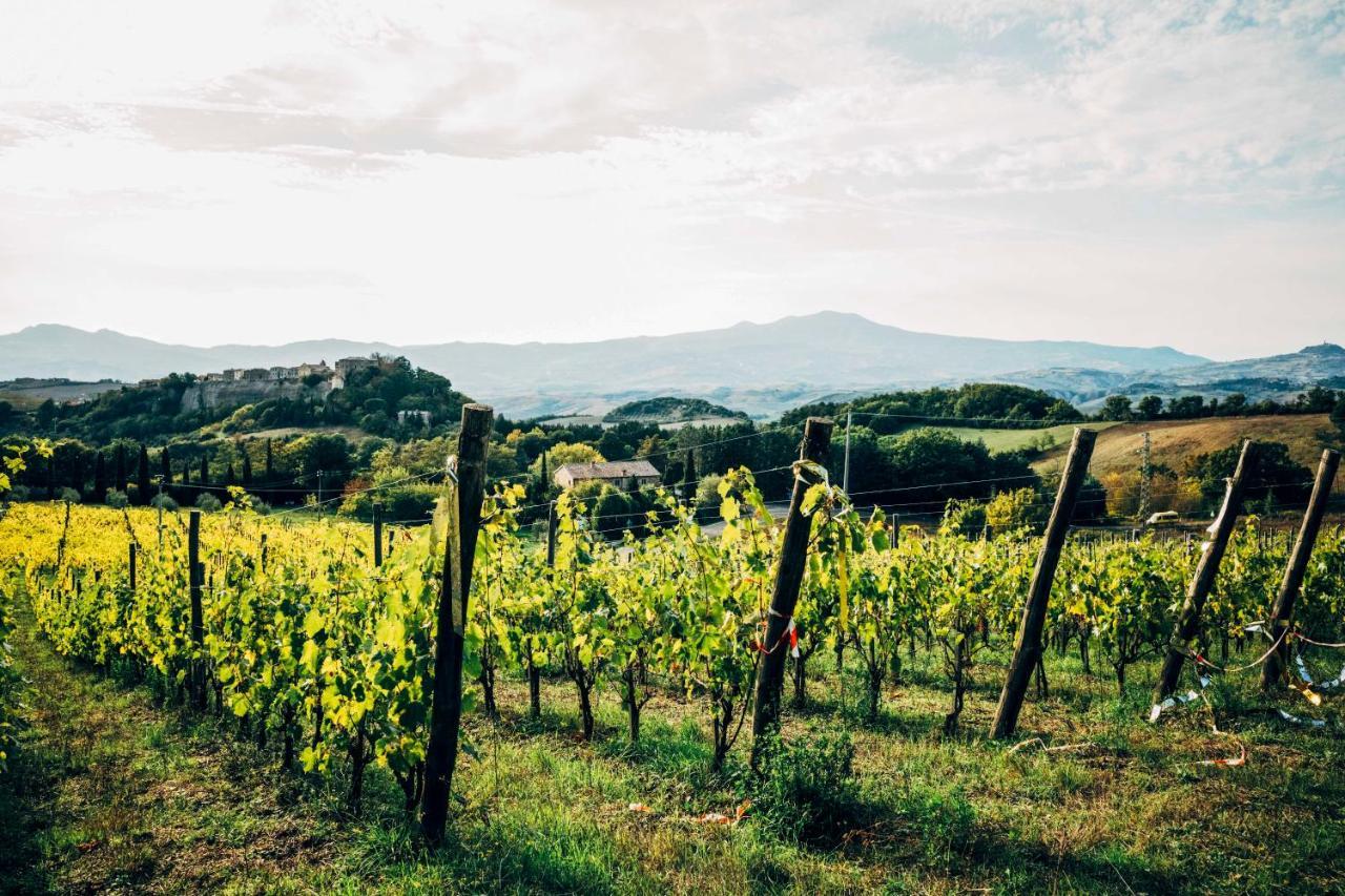 Podere Orto Wine Country House Trevinano Ngoại thất bức ảnh