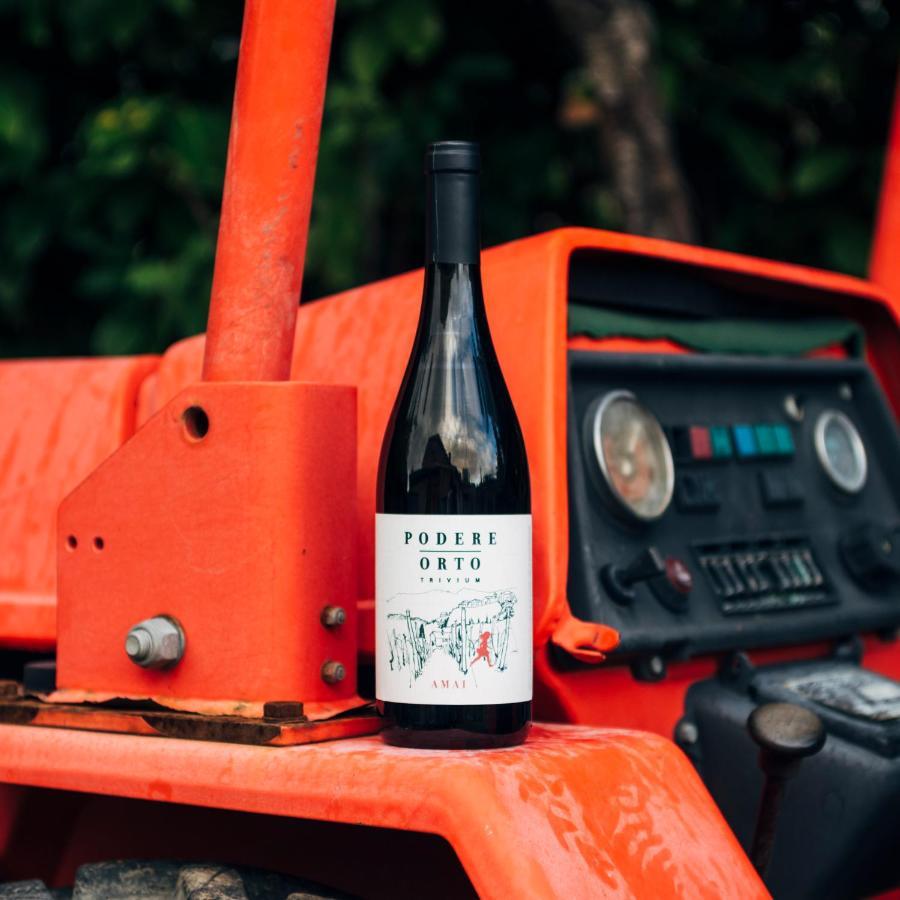 Podere Orto Wine Country House Trevinano Ngoại thất bức ảnh