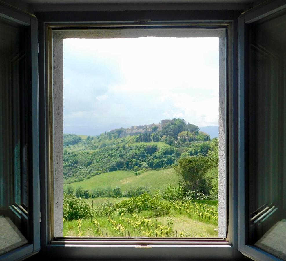 Podere Orto Wine Country House Trevinano Ngoại thất bức ảnh
