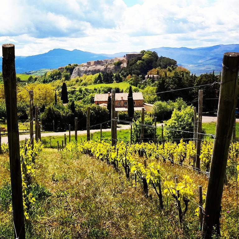 Podere Orto Wine Country House Trevinano Ngoại thất bức ảnh