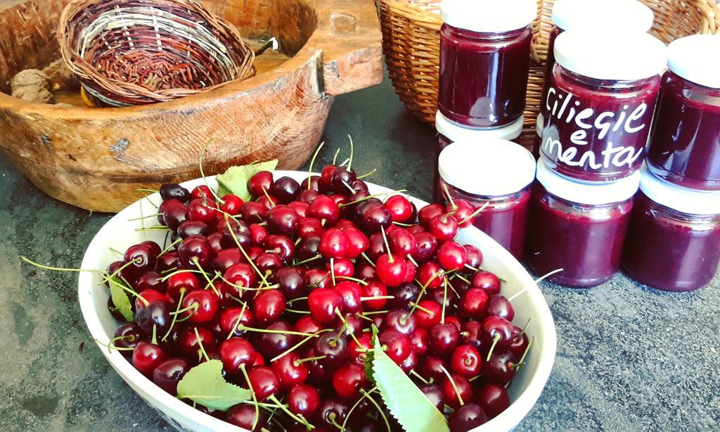 Podere Orto Wine Country House Trevinano Ngoại thất bức ảnh