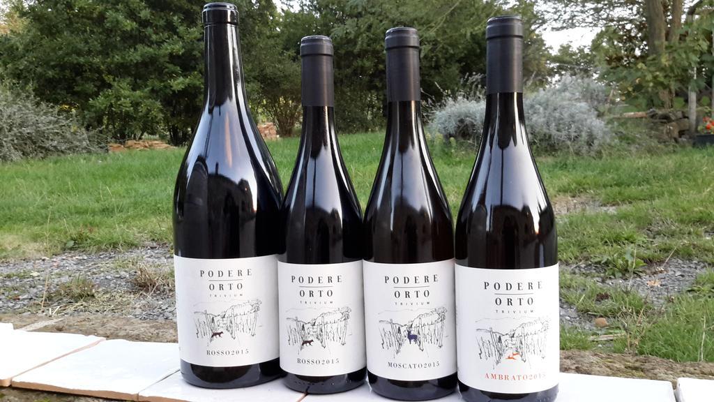 Podere Orto Wine Country House Trevinano Ngoại thất bức ảnh